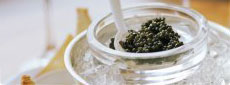 Caviar